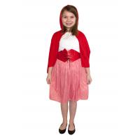 Red Riding Hood Fancy Dress Costume