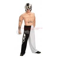 Ray Mysterio Jr. Fancy Dress Costume