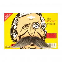 Aristocrat Tache, Grey