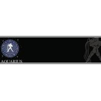 Black Aquarius Personalised Banner