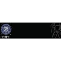 Black Gemini Personalised Banner