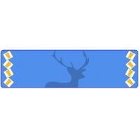 Stag Night Personalised Banner