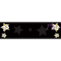 Aged 73 Personalised Banner