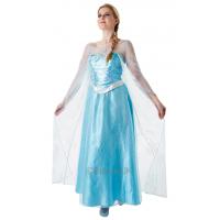 Elsa Fancy Dress Costume