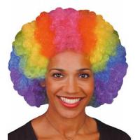 Curly Afro Wig Rainbow