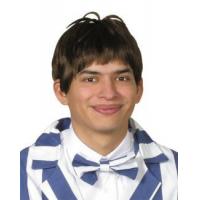 Short Mans Style Wig