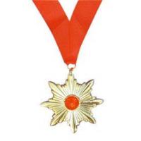Dracula Medallion
