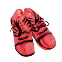Large Clown Shoes