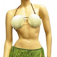Hawaiian Scallop Shell Bra