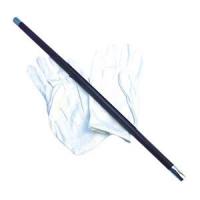 Magician Wand and Gloves