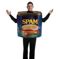 Spam Costume