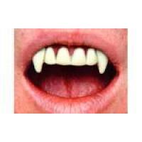 Billy Bob Vampire Teeth
