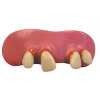 Billy Bob Jethro Teeth