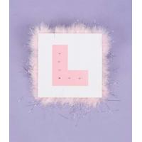 Flashing L-Plate Sign