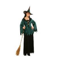 Gothic Witch Fancy Dress Costume