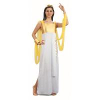 Goddess Athena Fancy Dress Costume