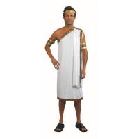 Caesar Toga Fancy Dress Costume