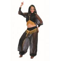 Harem Dancer Fancy Dress Costume