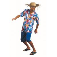 Hawaiian Fancy Dress Costume
