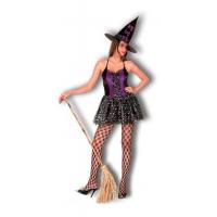 Saucy Witch Fancy Dress Costume