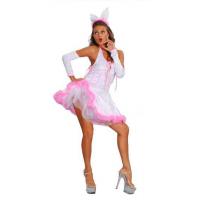 Sexy Bunny Fancy Dress Costume