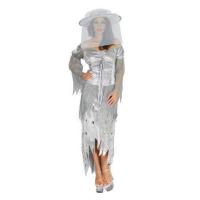 Ghostly Lady Fancy Dress Costume