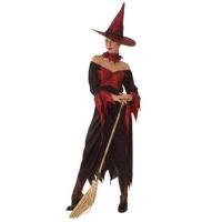 Wicked Witch Fancy Dress Costume