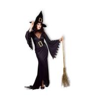 Witch Fancy Dress Costume