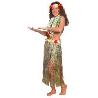 Hawaiian Grass Hula Skirt, Multi Coloured