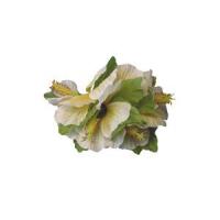 Hibiscus Tutu Clip, White/Yellow